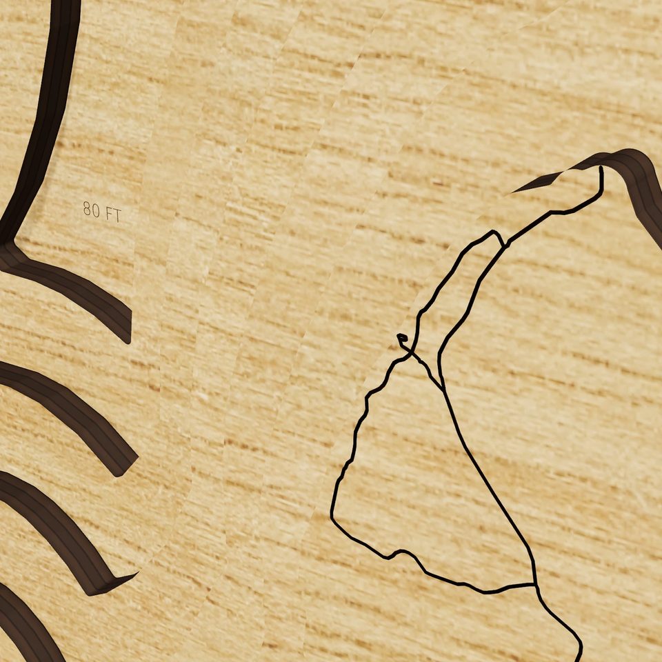Lake Winnibigoshish 3D wood map, detail view
