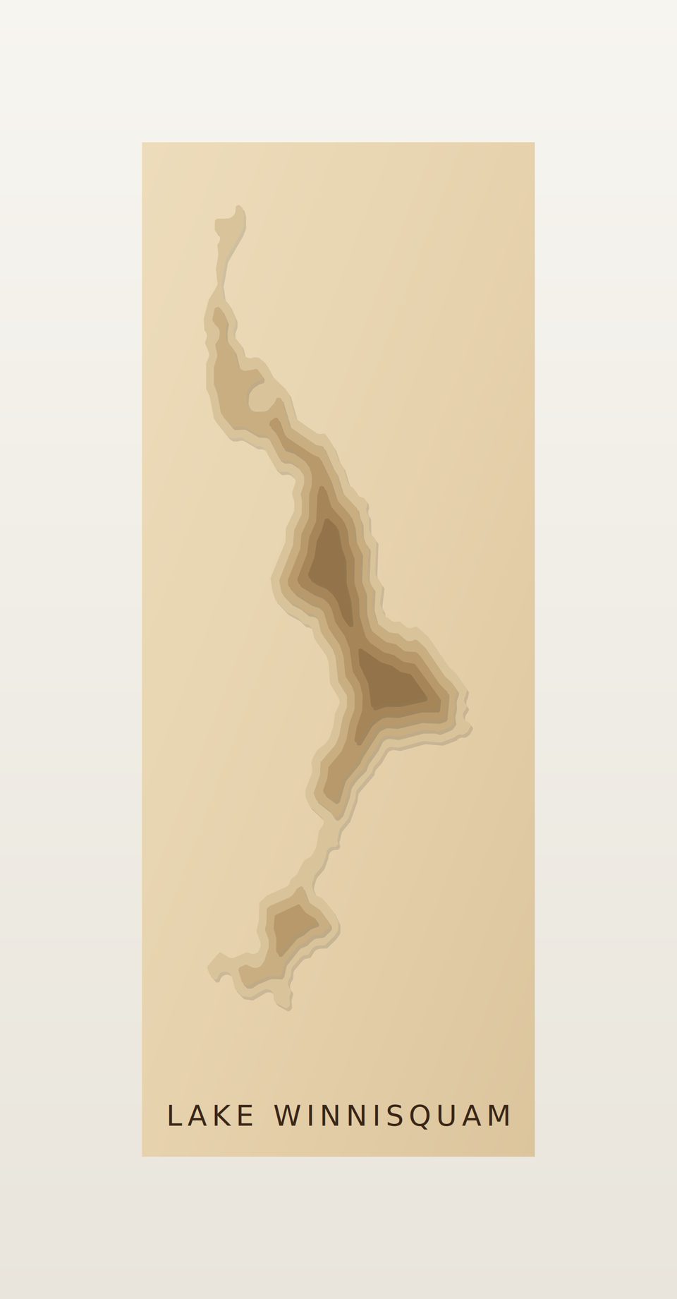 Lake Winnisquam 3D wood map, preview view