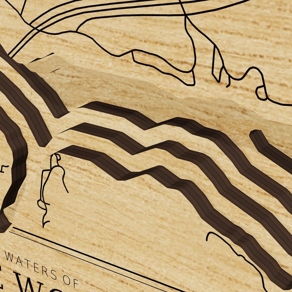 Lake Worth 3D wood map, detail view