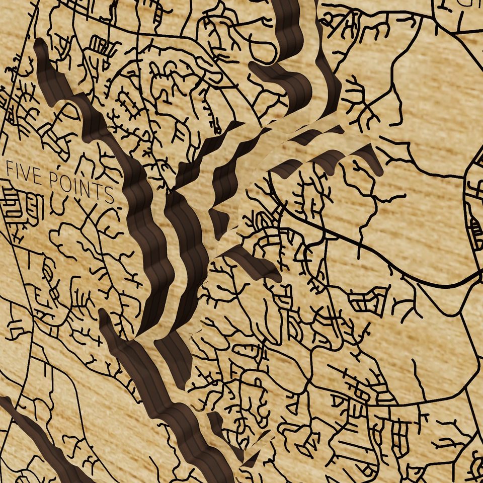 Lake Wylie 3D wood map, detail view
