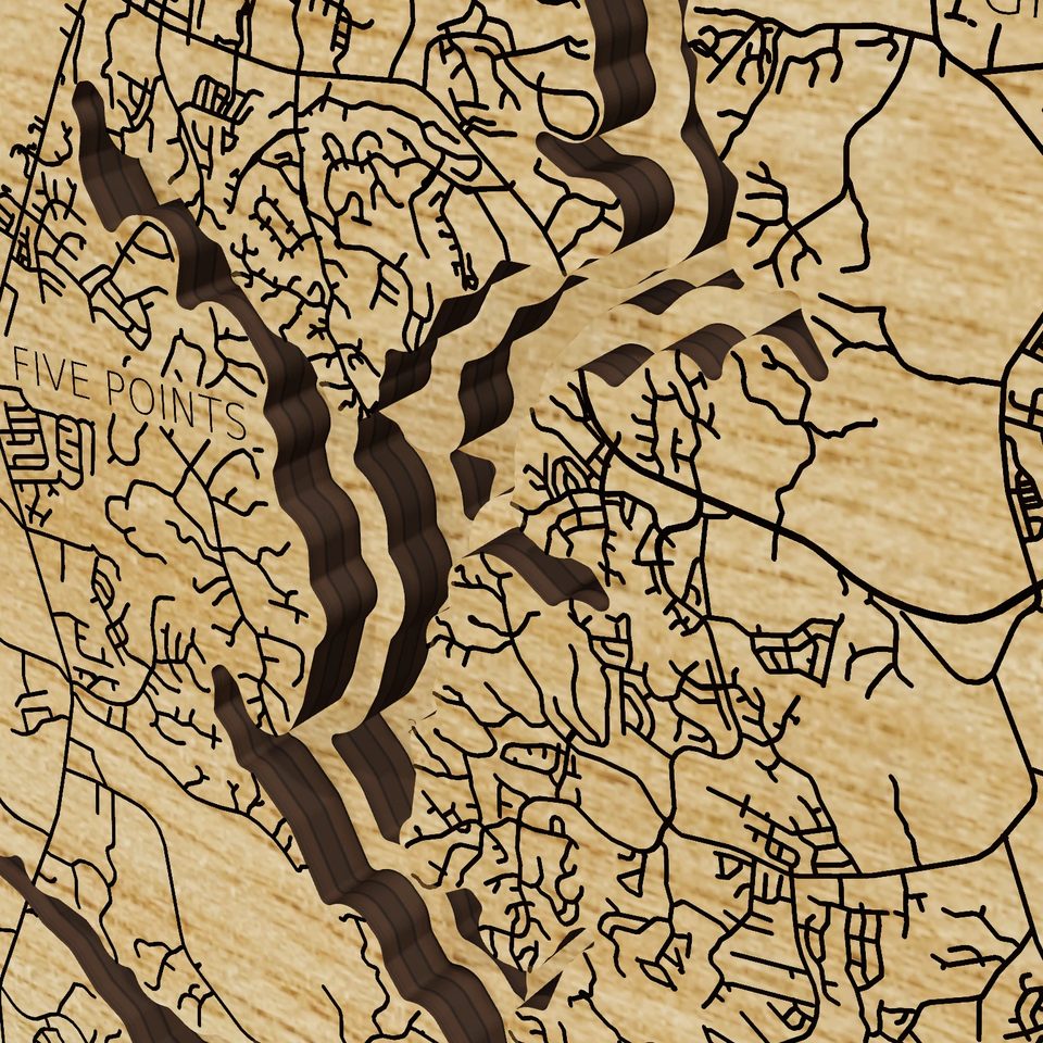 Lake Wylie 3D wood map, detail view