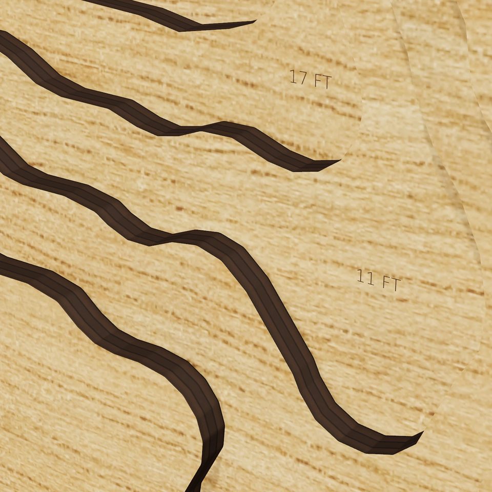 Lake Wyola 3D wood map, detail view