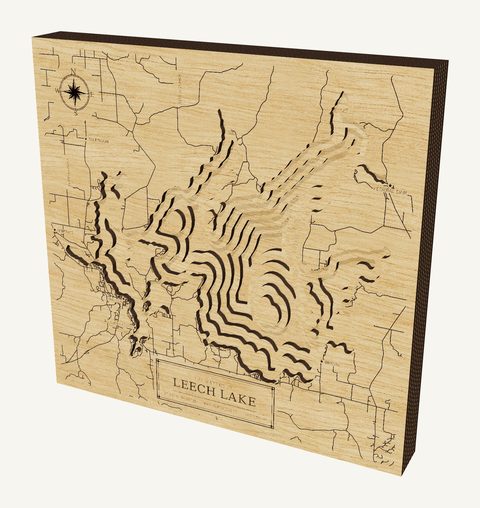 Leech Lake wood map