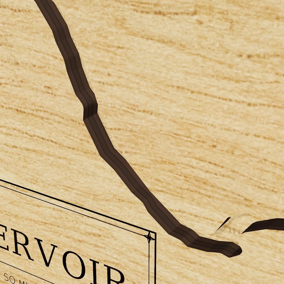 Little Falls Reservoir 3D wood map, detail view
