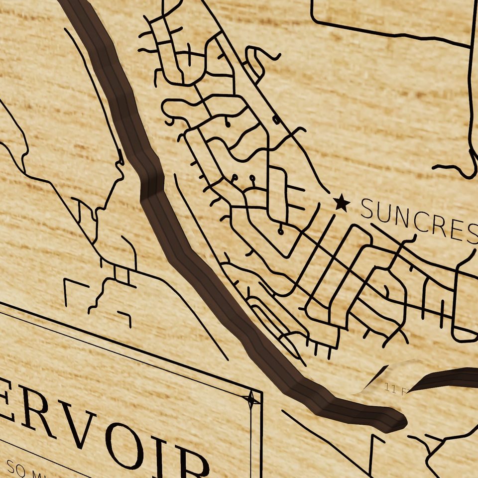 Little Falls Reservoir 3D wood map, detail view
