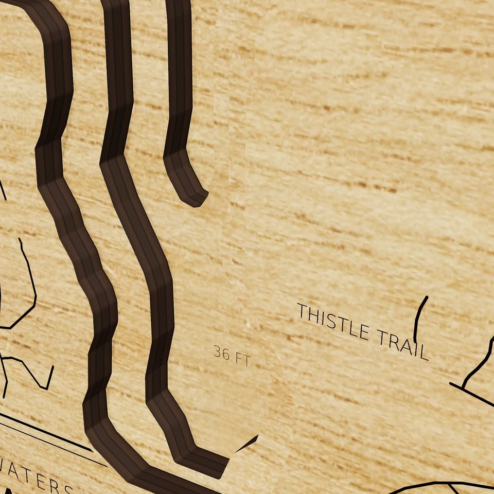 Little Grass Valley Reservoir 3D wood map, detail view