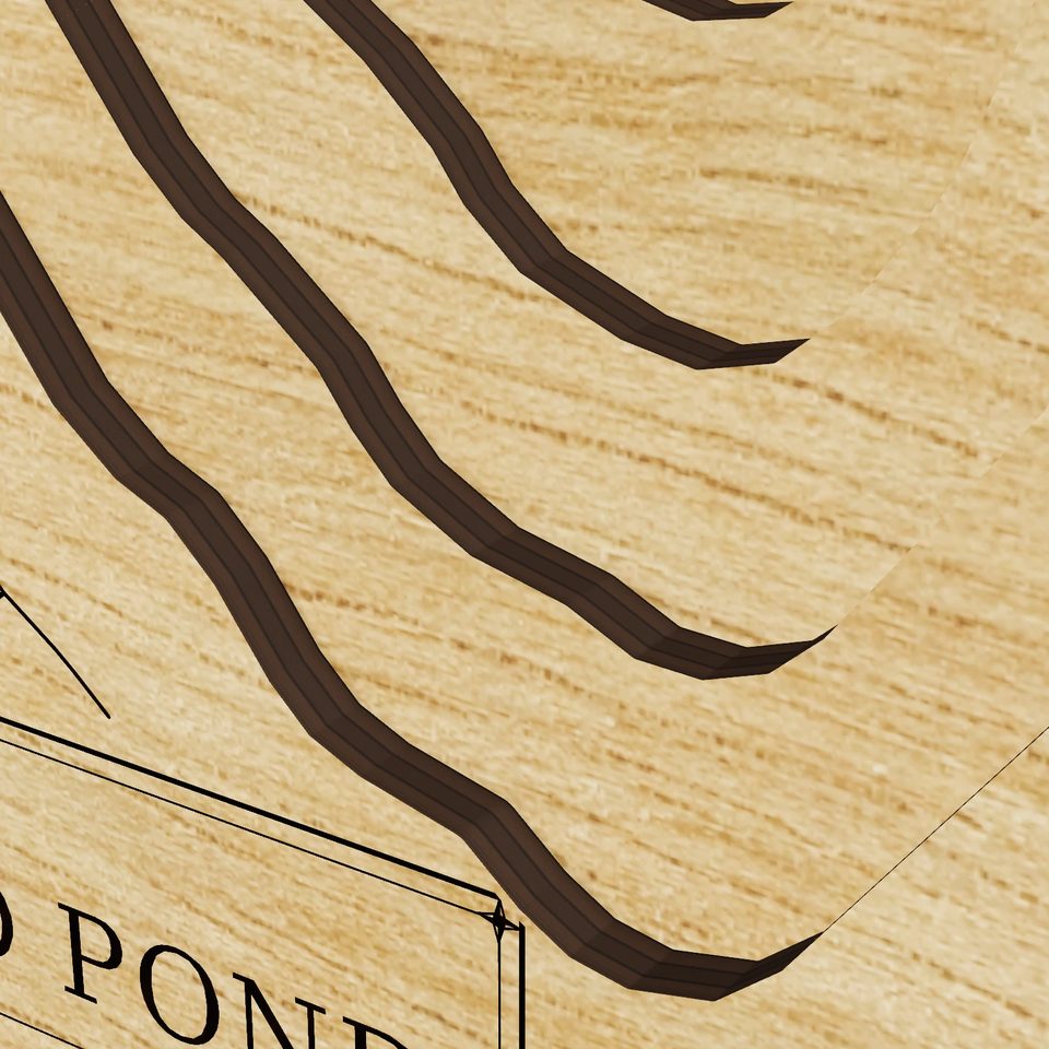 Little Island Pond 3D wood map, detail view