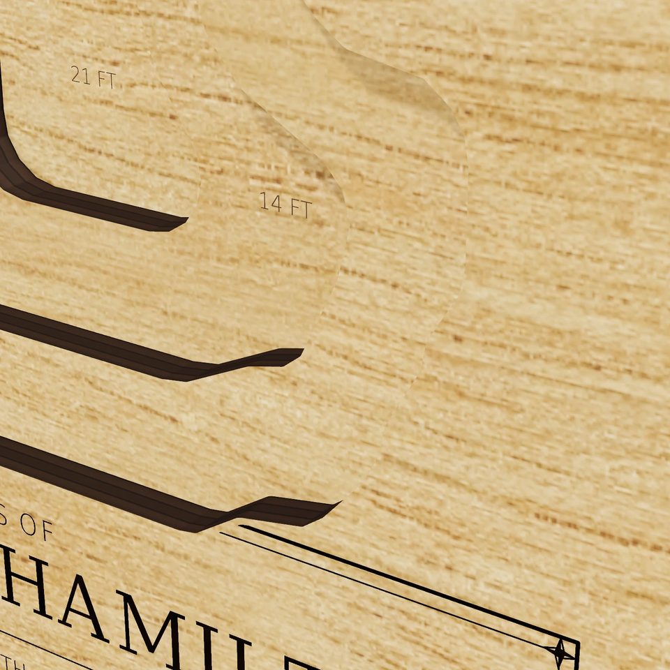 Little Lake Hamilton 3D wood map, detail view