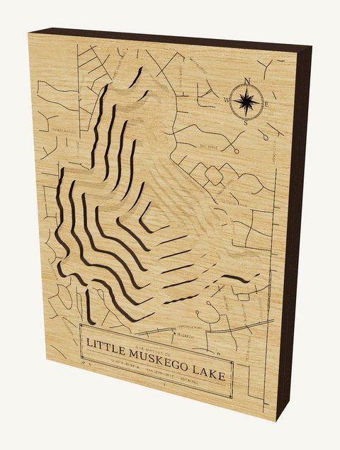 Little Muskego Lake wood map
