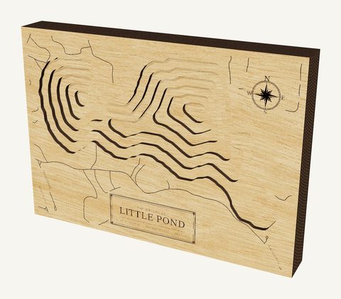Little Pond wood map