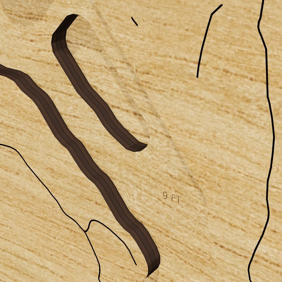 Little South Pond 3D wood map, detail view