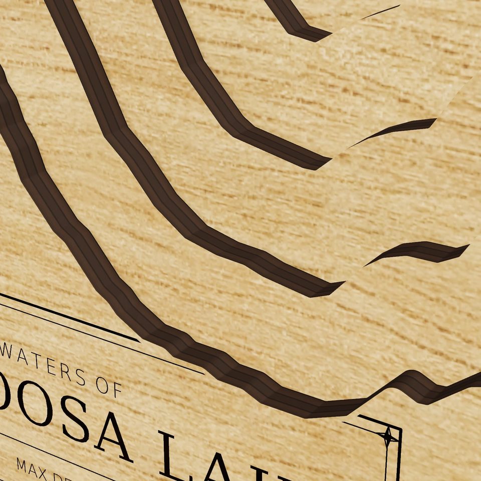 Lochloosa Lake 3D wood map, detail view