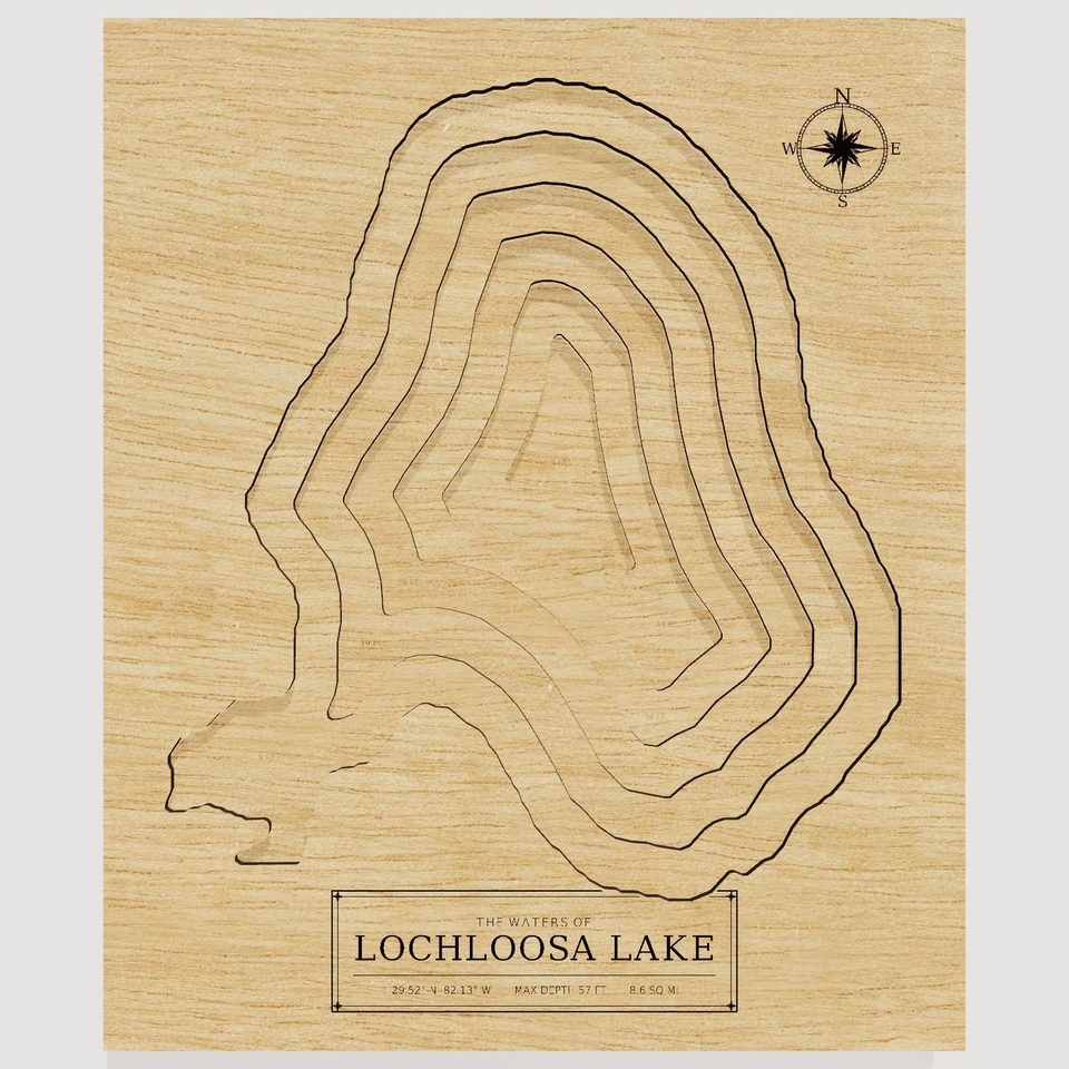 Lochloosa Lake 3D wood map, front view