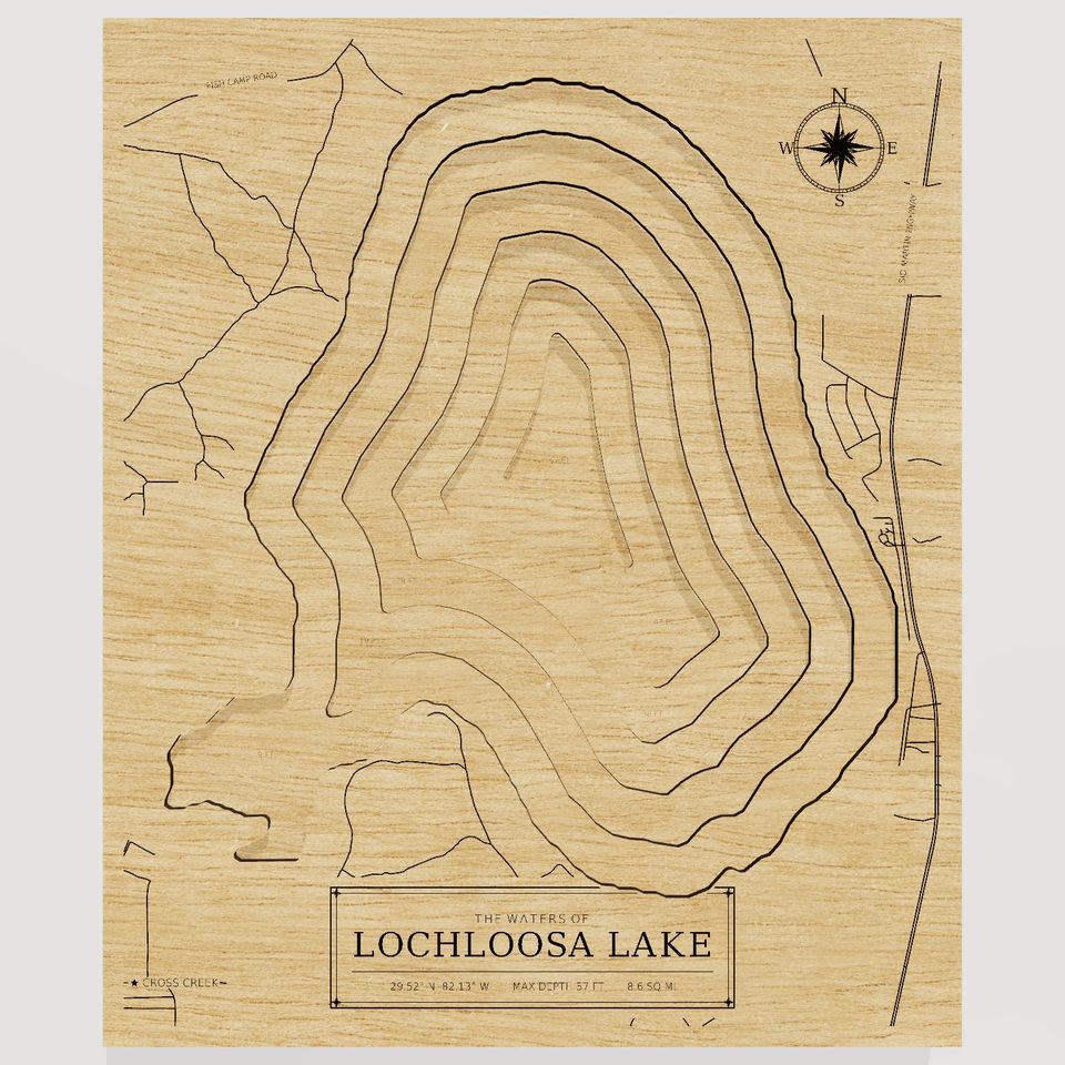 Lochloosa Lake 3D wood map, front view
