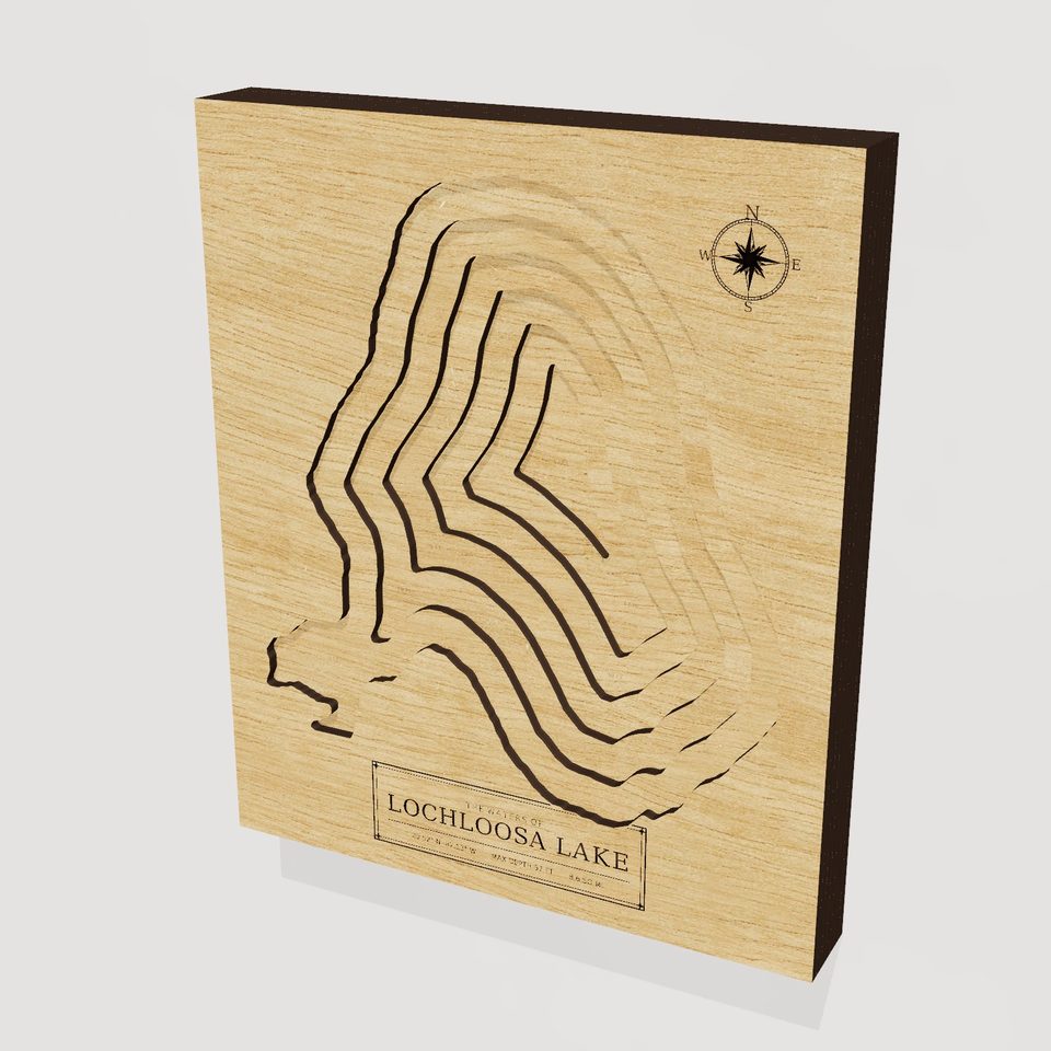 Lochloosa Lake 3D wood map, hero view