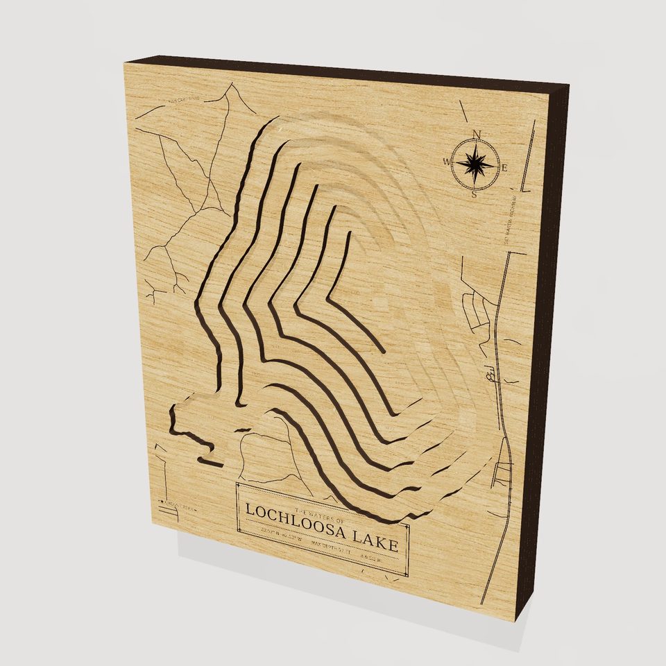 Lochloosa Lake 3D wood map, hero view