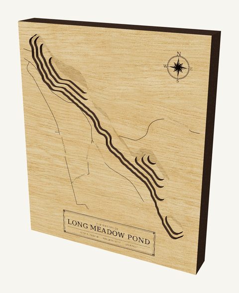 Long Meadow Pond wood map