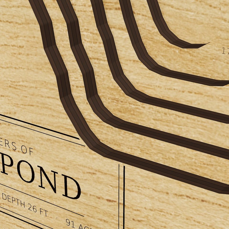 Long Pond 3D wood map, detail view