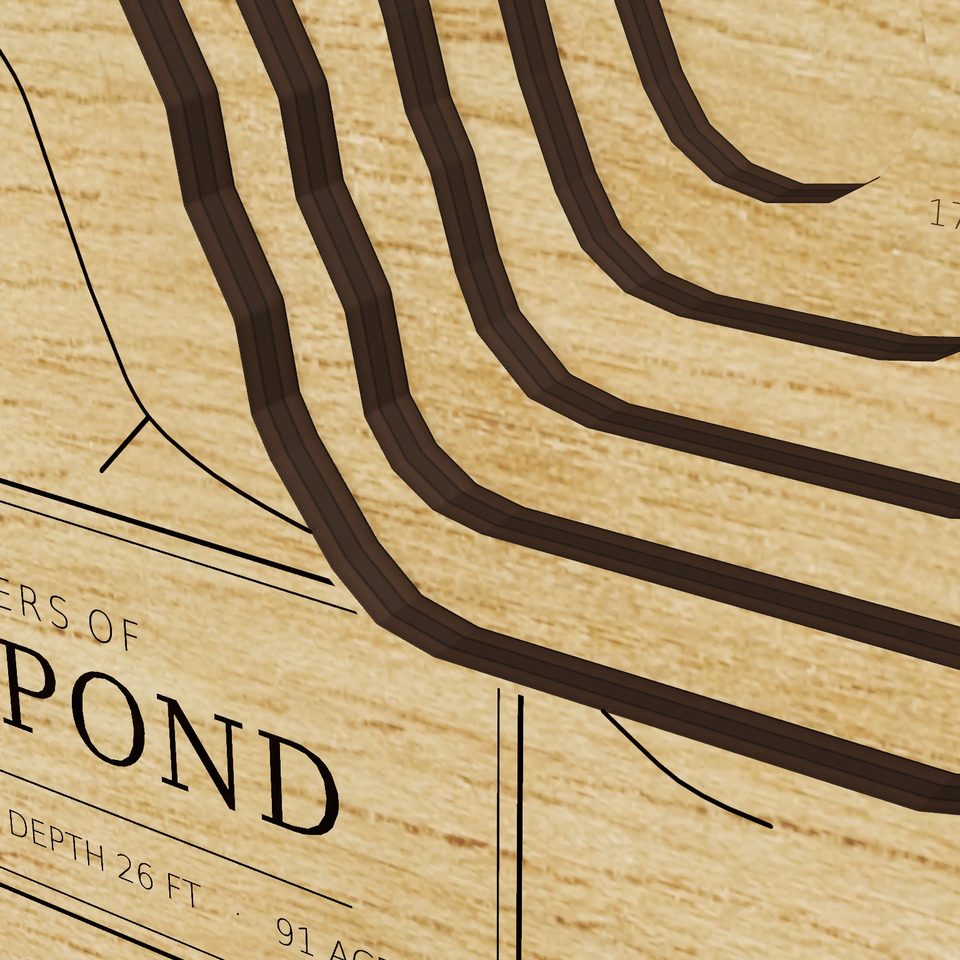 Long Pond 3D wood map, detail view