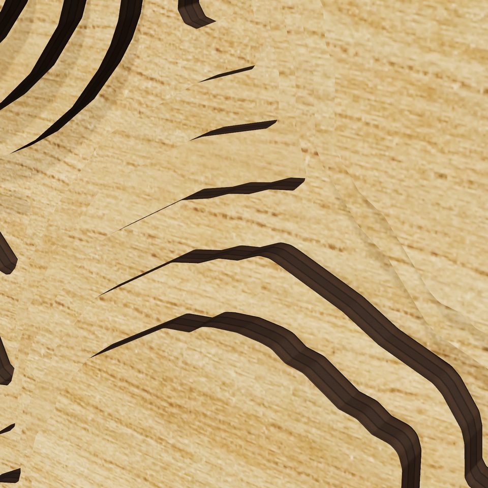 Los Vaqueros Reservoir 3D wood map, detail view
