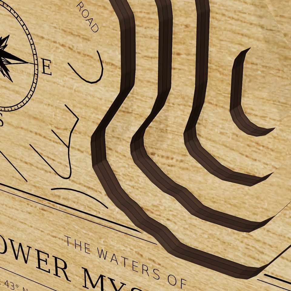 Lower Mystic Lake 3D wood map, detail view