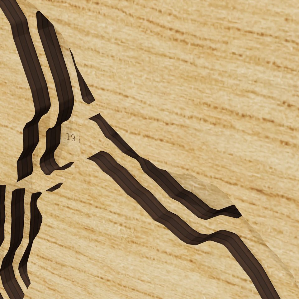 Lower Range Pond 3D wood map, detail view