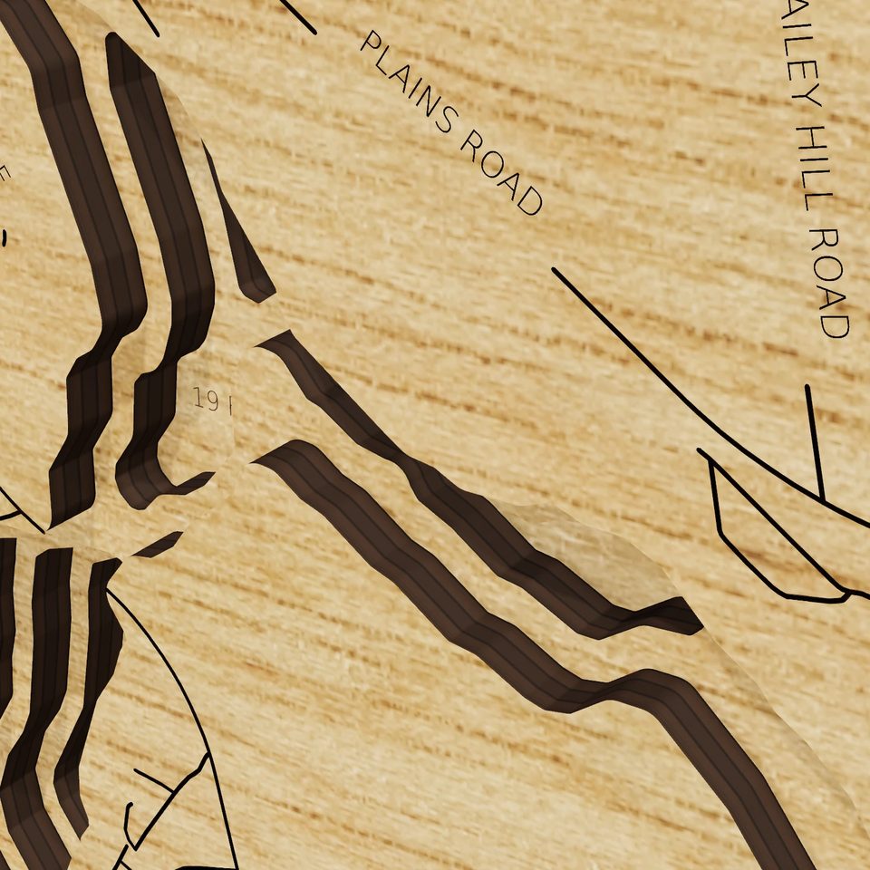 Lower Range Pond 3D wood map, detail view