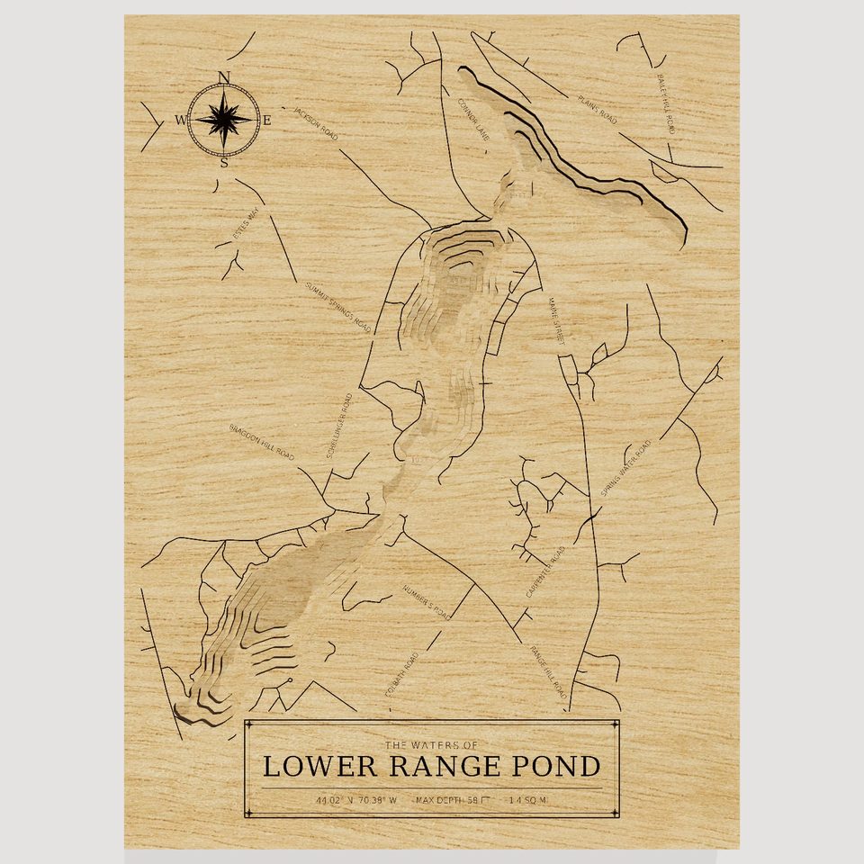 Lower Range Pond 3D wood map, front view