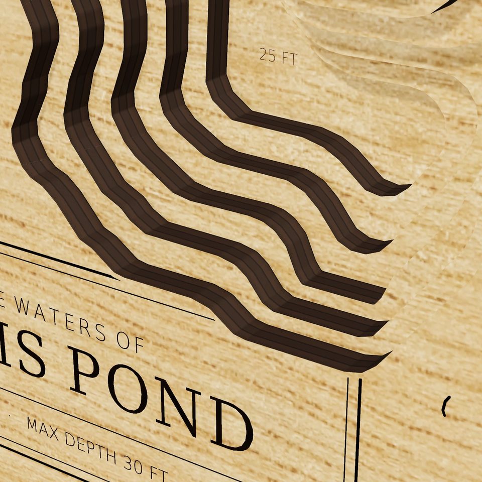 Lums Pond 3D wood map, detail view