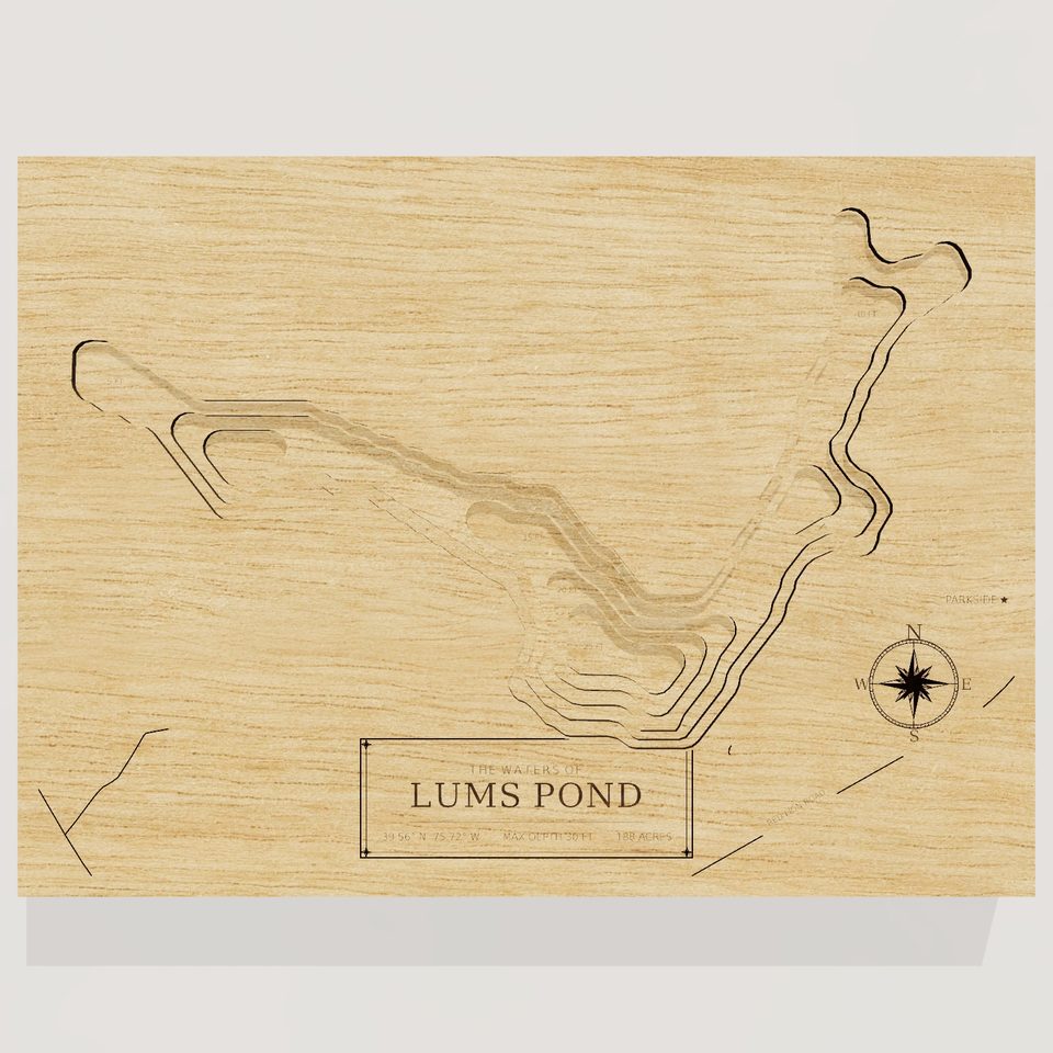 Lums Pond 3D wood map, front view