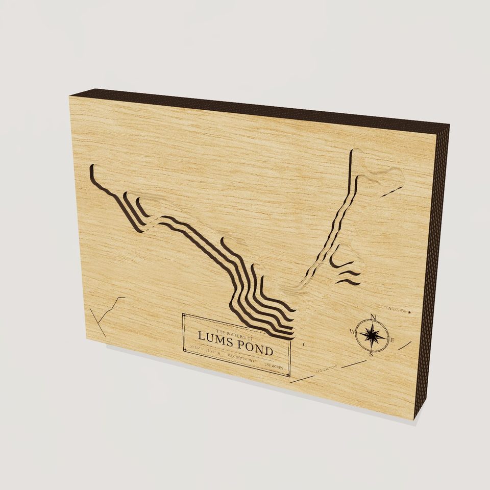 Lums Pond 3D wood map, hero view