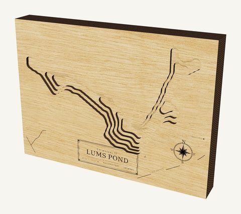 Lums Pond wood map