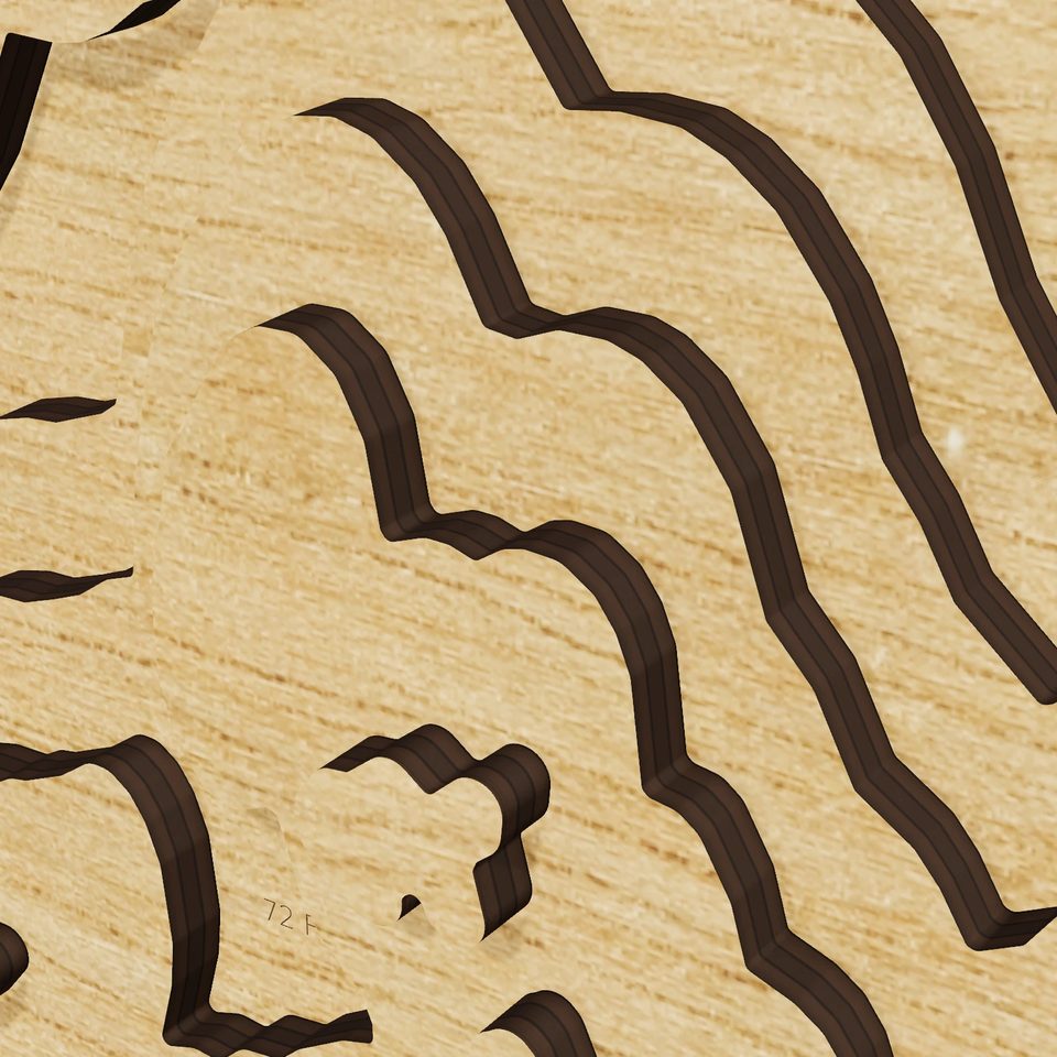 Malaspina Lake 3D wood map, detail view