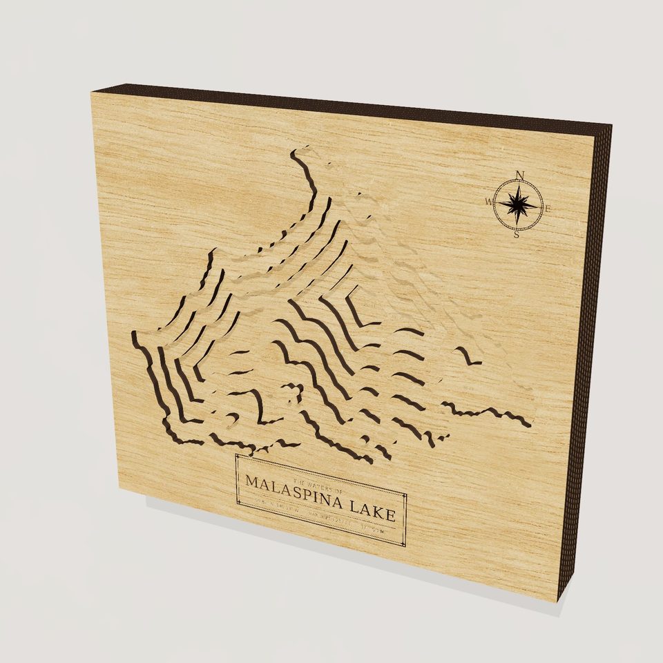 Malaspina Lake 3D wood map, hero view