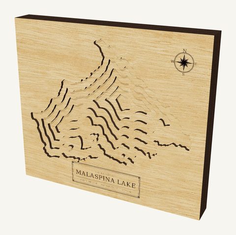 Malaspina Lake wood map