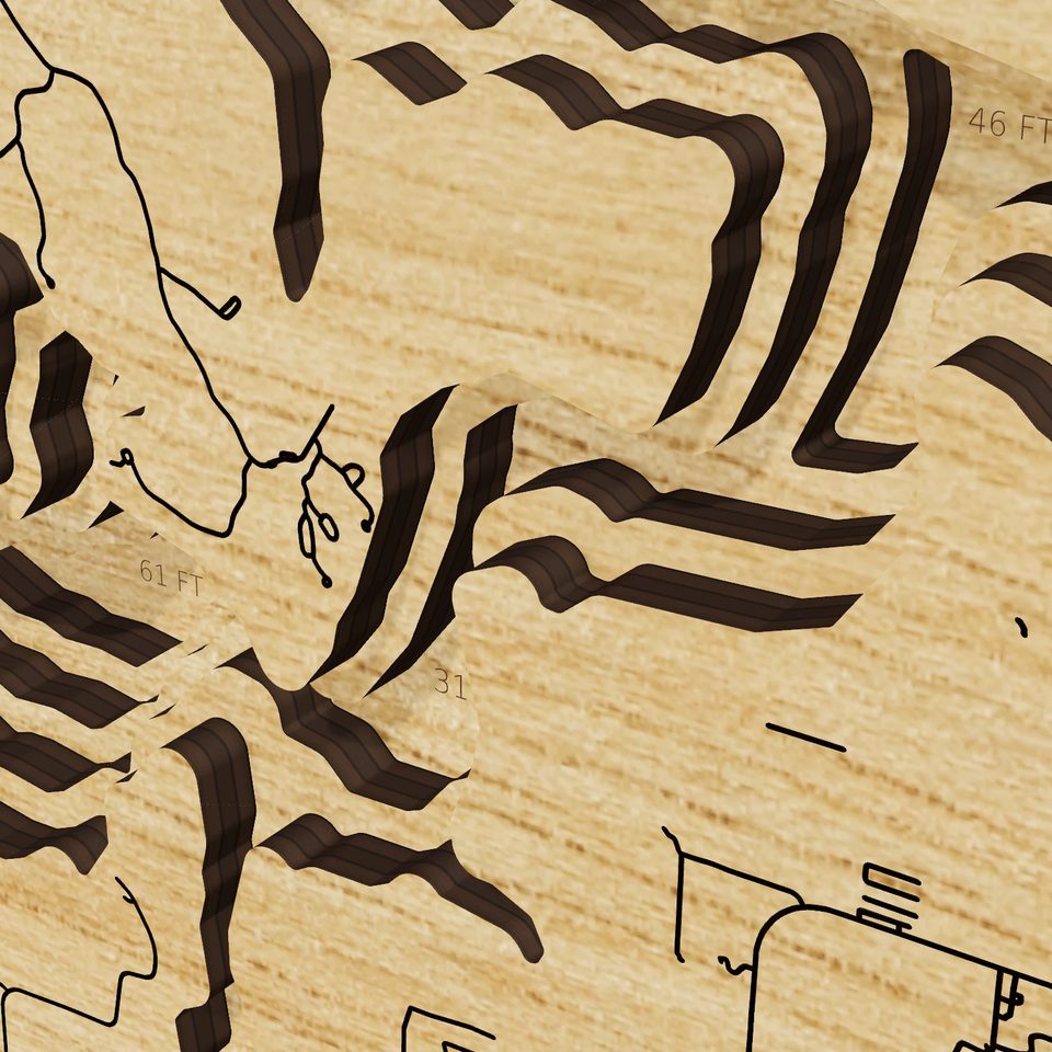 Mark Twain Lake 3D wood map, detail view