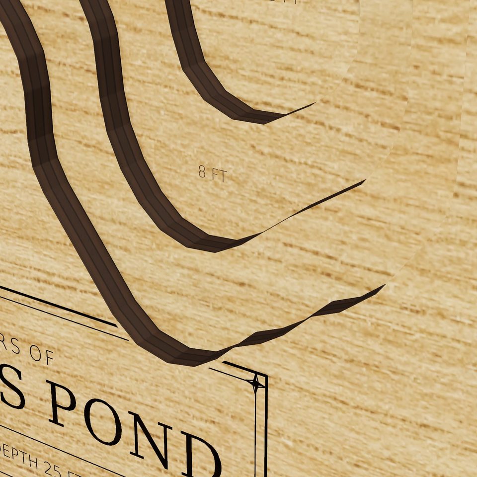Martin's Pond 3D wood map, detail view