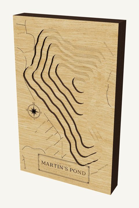 Martin's Pond wood map