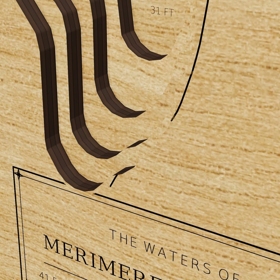 Merimere Reservoir 3D wood map, detail view