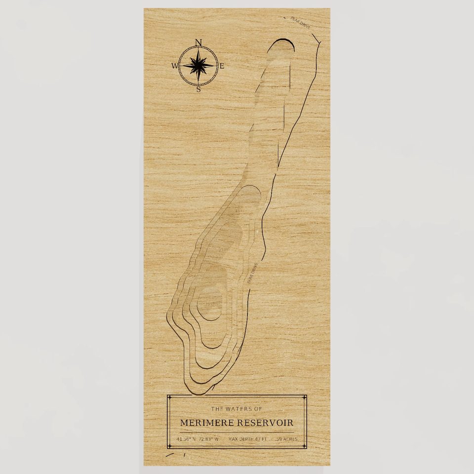 Merimere Reservoir 3D wood map, front view