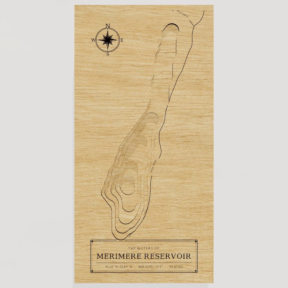 Merimere Reservoir 3D wood map, front view