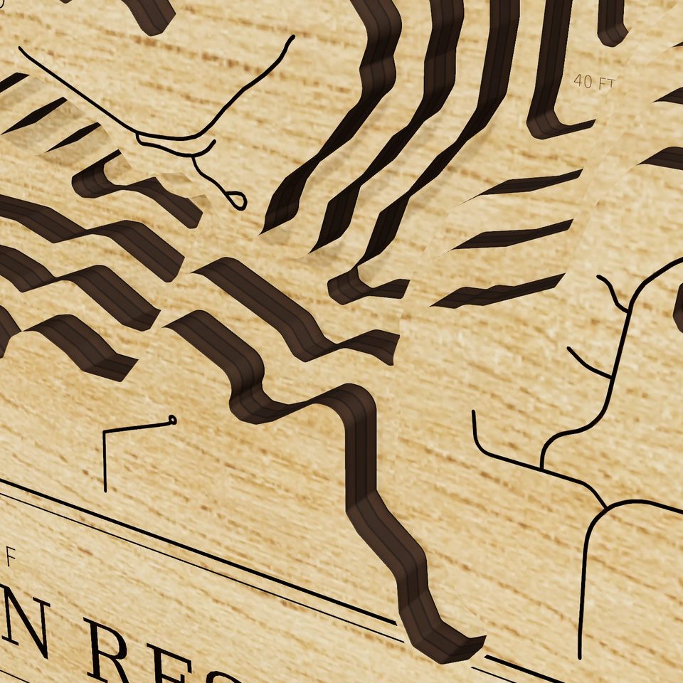 Michael J Kirwan Reservoir 3D wood map, detail view