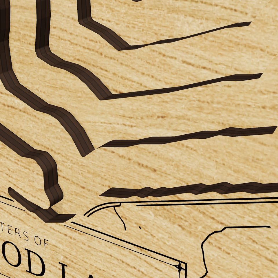 Millwood Lake 3D wood map, detail view