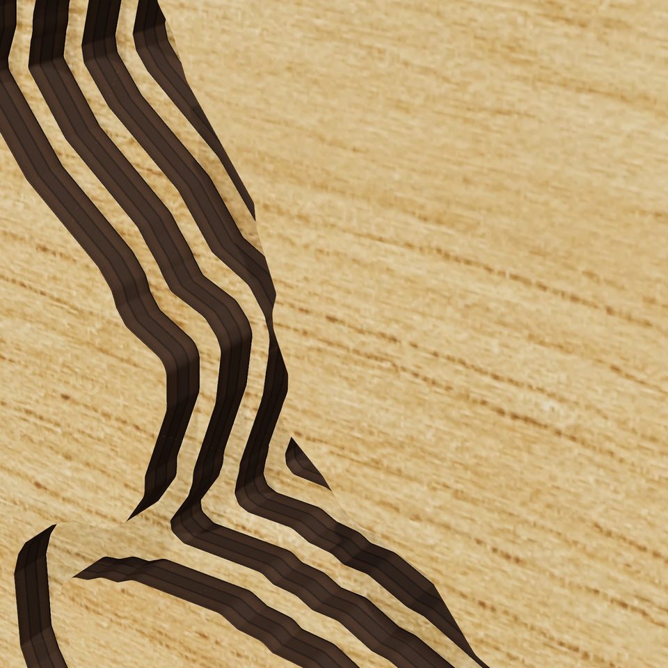 Milton Pond 3D wood map, detail view