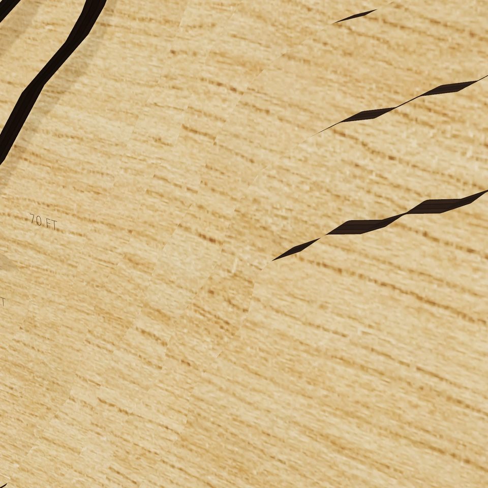 Mineral Lake 3D wood map, detail view