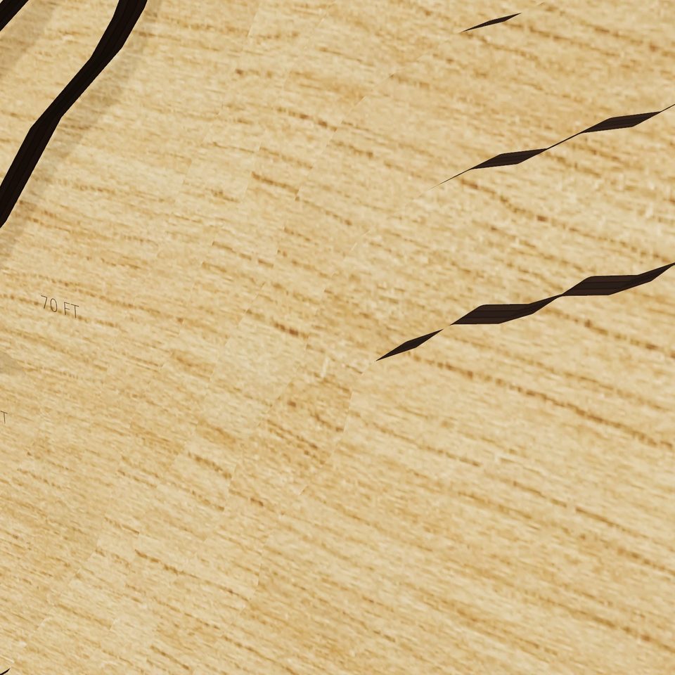 Mineral Lake 3D wood map, detail view