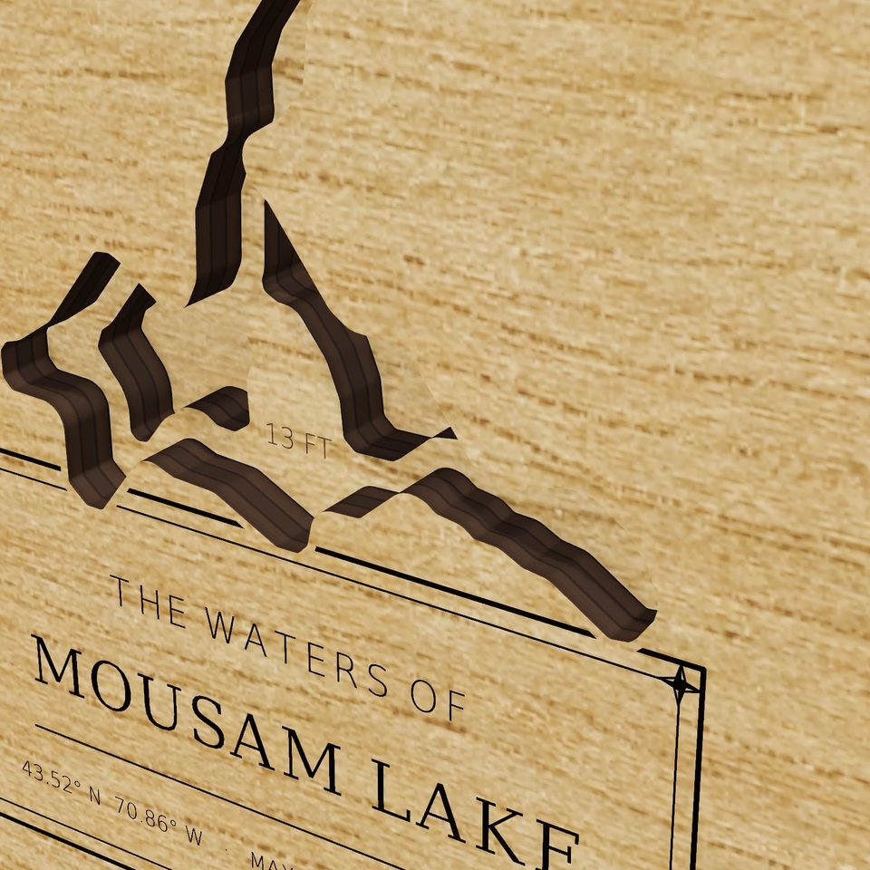 Mousam Lake 3D wood map, detail view