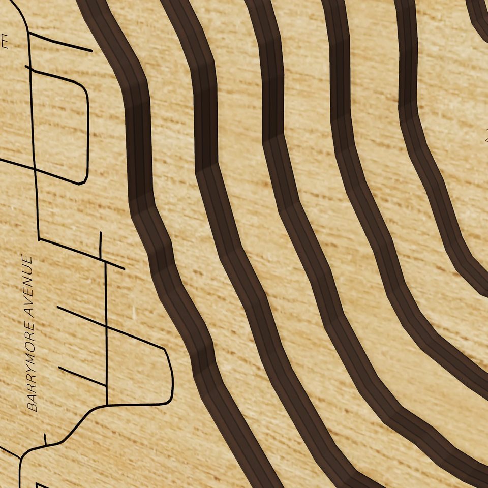 Mud Lake 3D wood map, detail view