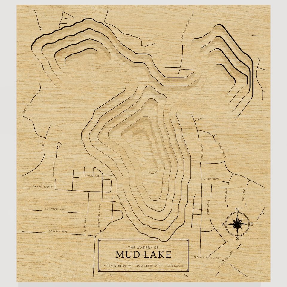 Mud Lake 3D wood map, front view