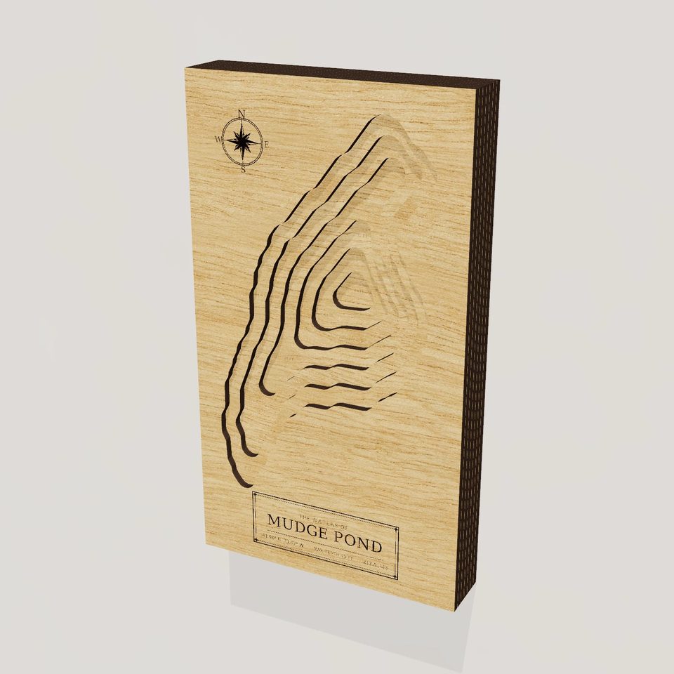 Mudge Pond 3D wood map, hero view